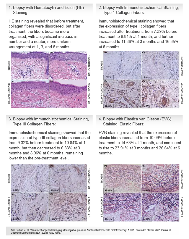 Publications-2